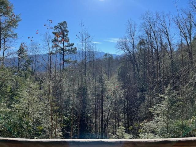 Rocky Top Lodge, 6 Bedrooms, Pool Access, Hot Tub, Mountain View, Sleeps 14 Gatlinburg