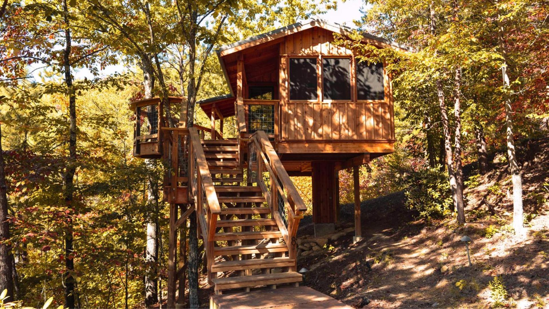 The Cottonwood In Treehouse Grove At Norton Creek *