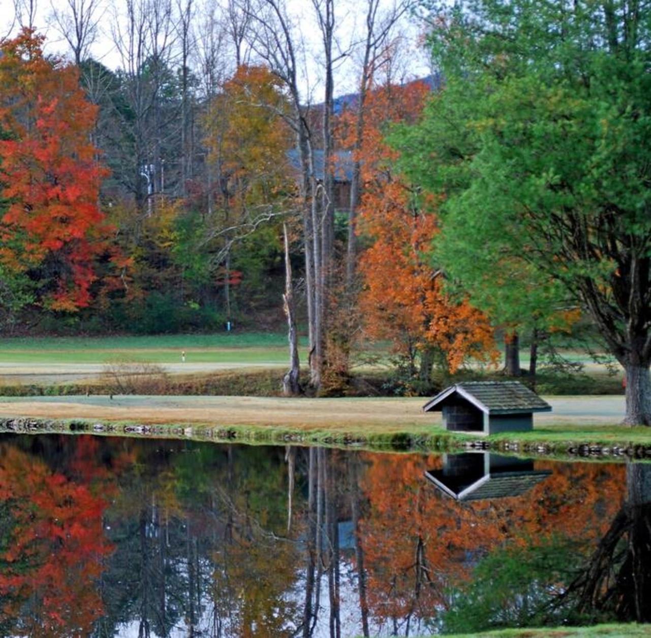 Peace, Serenity & Relaxation In The Smokies! Holiday home Gatlinburg