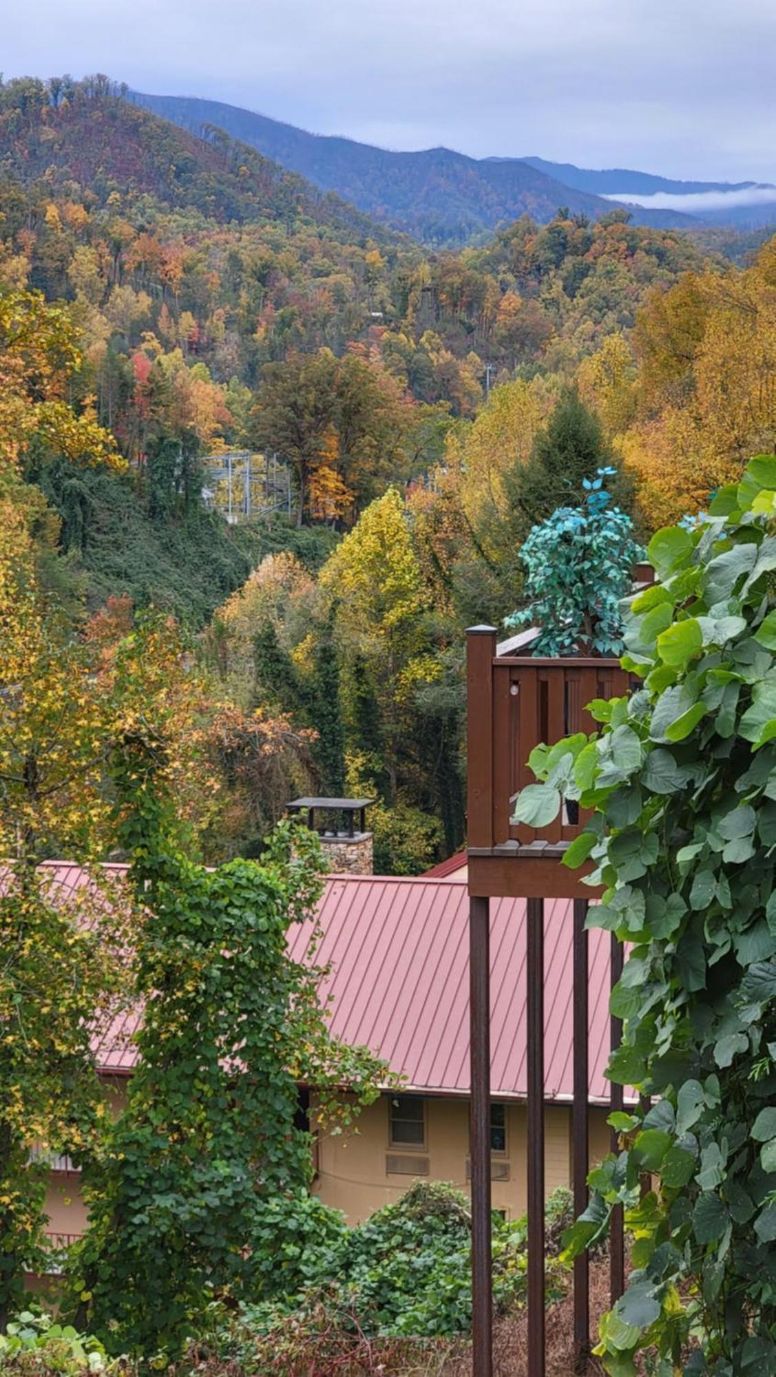 Smoky Heights Overlook, Luxury Log Cabin, Mountain & Views Holiday home Gatlinburg