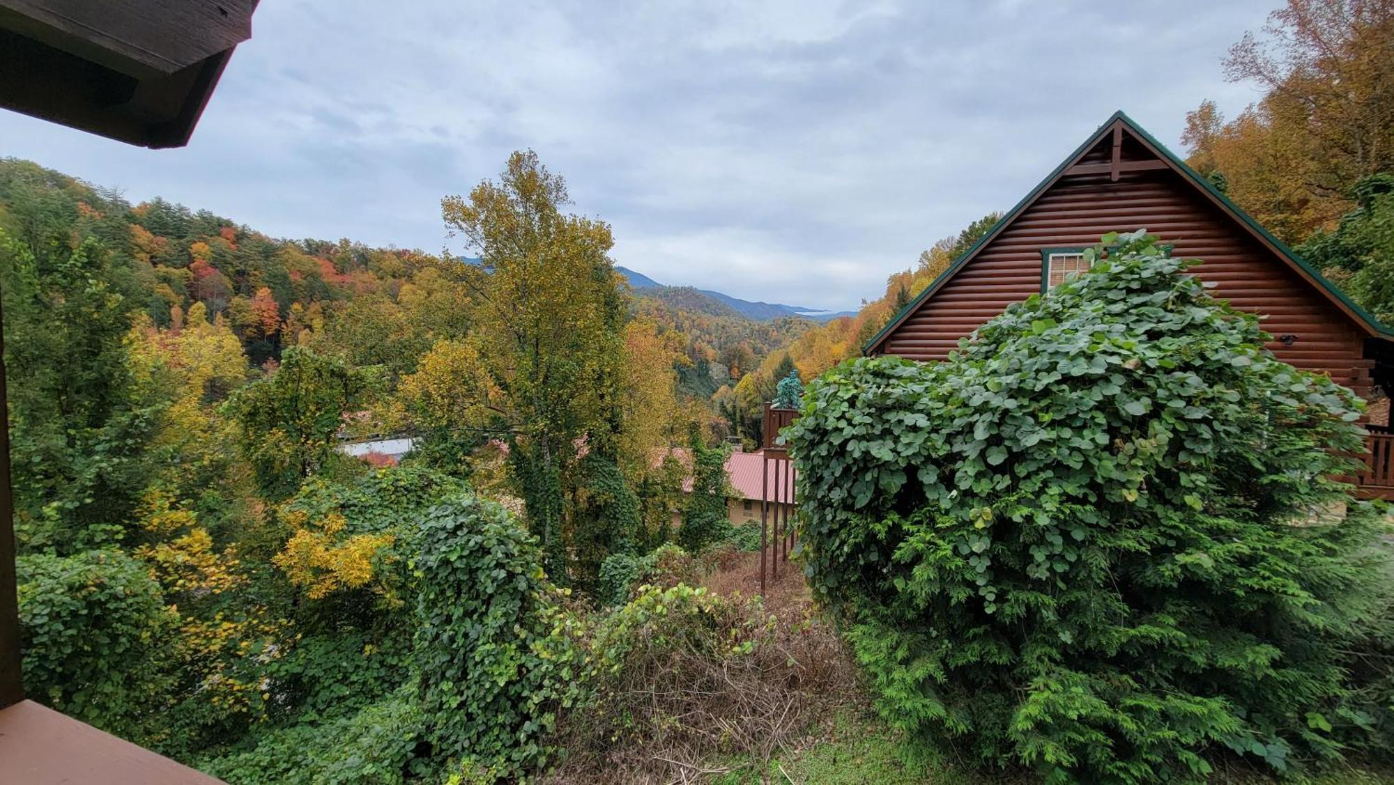 Smoky Heights Overlook, Luxury Log Cabin, Mountain & Views Holiday home