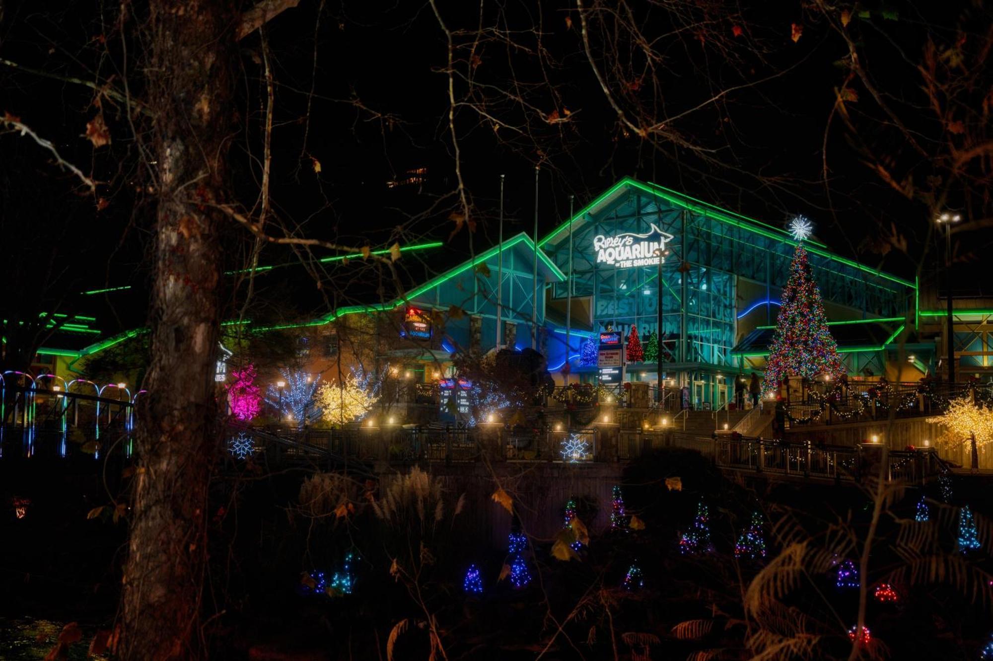 Smoky Bear Hideaway