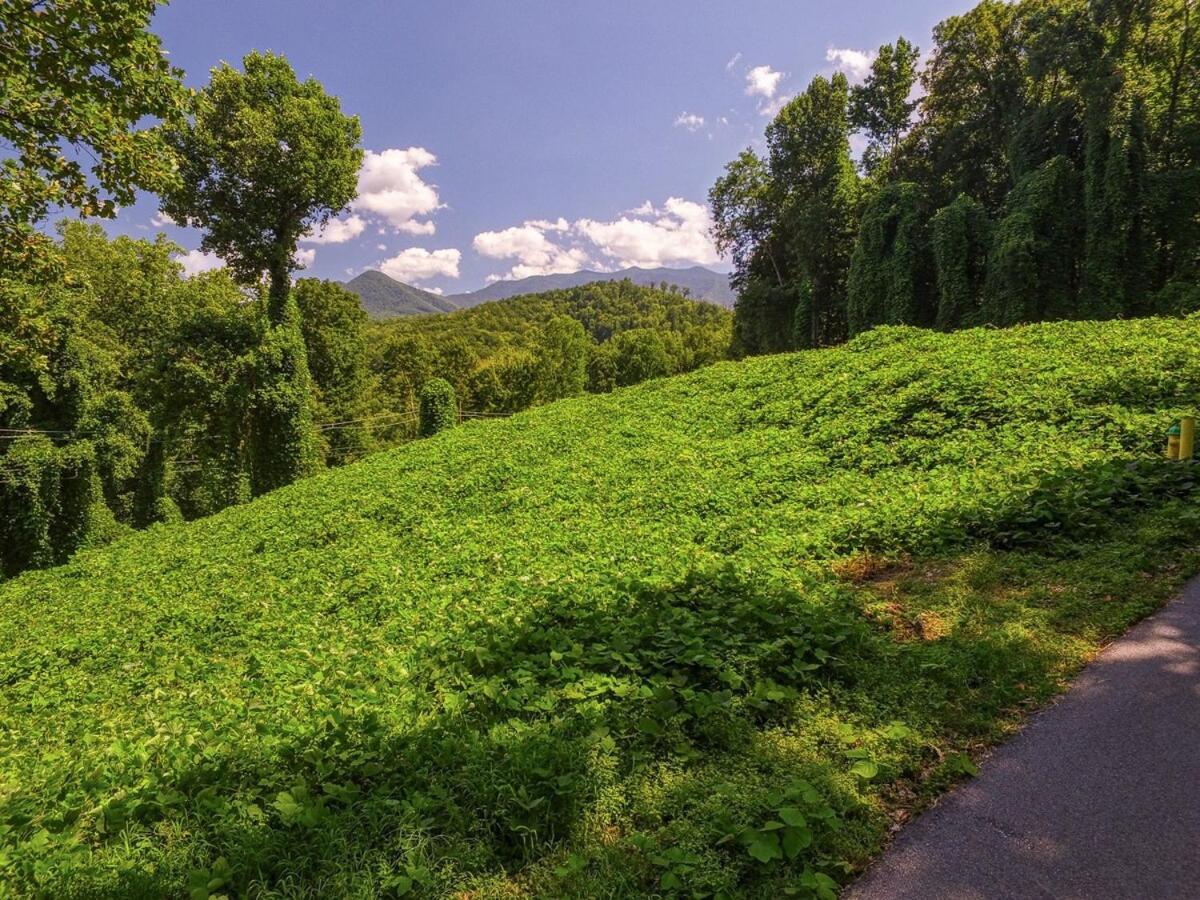 Firefly Haven - Summer Oasis With Hot Tub Holiday home Gatlinburg